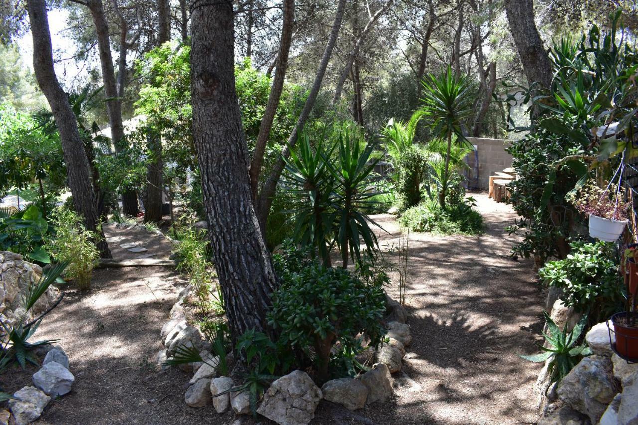 Villa Garden Тарагона Екстериор снимка